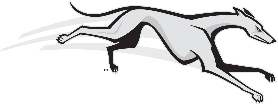 Loyola-Maryland Greyhounds 2002-2010 Partial Logo t shirts iron on transfers